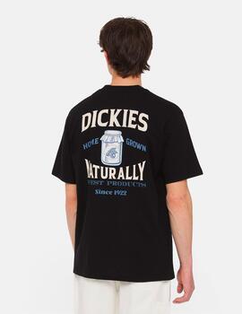 Camiseta Dickies 'Elliston' Negro