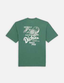 Camiseta Dickies 'Raven' Verde