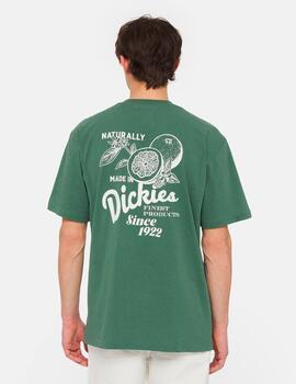 Camiseta Dickies 'Raven' Verde
